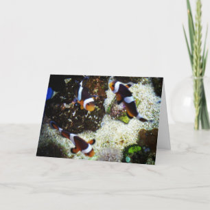 Carte d'anniversaire "Poisson clown"