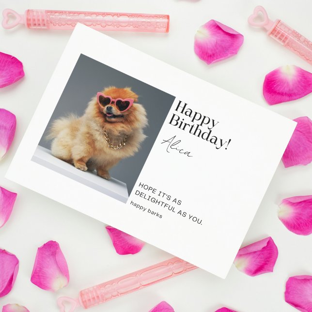 Carte d'Anniversaire Poméranienne personnalisée (Birthday Depot Party Supplies -
Delightful Pomeranian Custom Folded Birthday Card Downloadable)