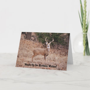 Carte d'anniversaire pour amateur de cerfs sauvage