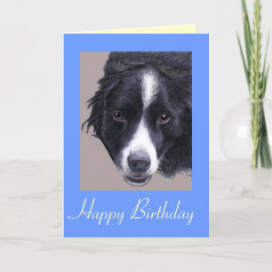 carte d'anniversaire pour chien collie