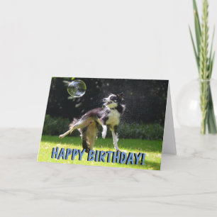 Carte d'anniversaire pour chien de collier frontal