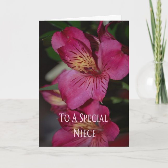 Carte d'anniversaire pour la nièce (Devant)