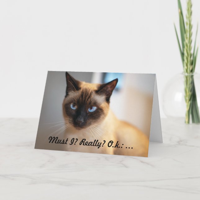 Carte d'anniversaire pour les amateurs de chats gr (Devant)
