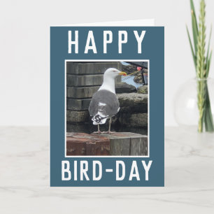 Carte d'anniversaire pour les amateurs d'oiseaux