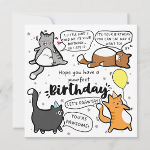 Carte d'anniversaire pour les amoureux des chats