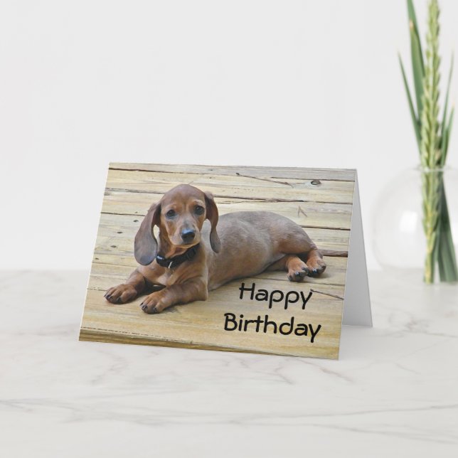 Carte d'anniversaire pour marionnettistes BW-Dachs (Devant)