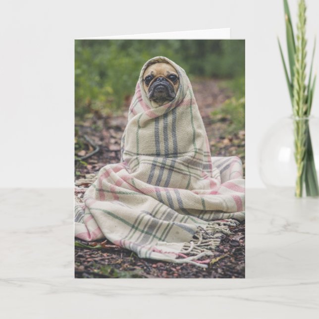 CARTE D'ANNIVERSAIRE PUG CHIEN (Devant)