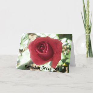 Carte d'anniversaire Red Rose