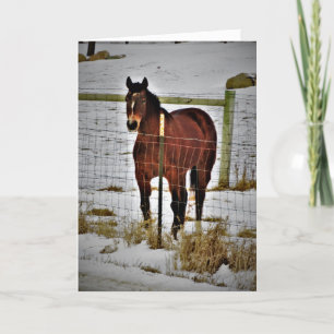 Carte d'anniversaire "Ride Away"