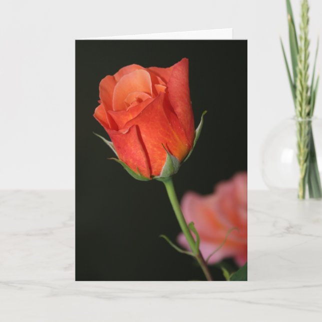 Carte d'anniversaire Rose romantique (Devant)
