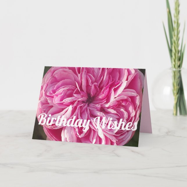 Carte d'Anniversaire rose Vintage Rose Rose (Devant)