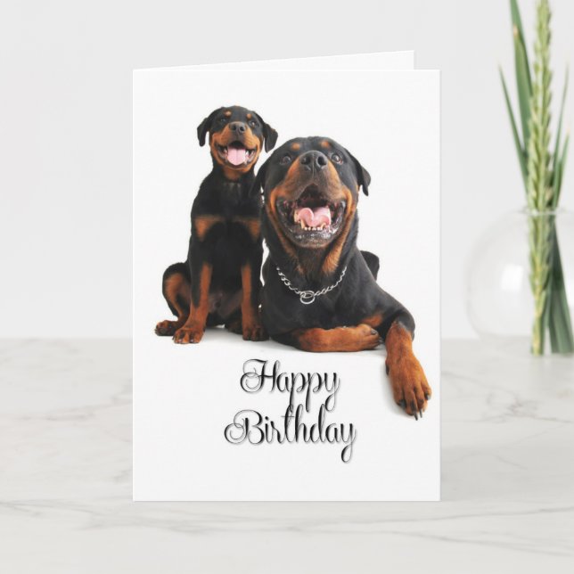 Carte d'anniversaire Rottie (Devant)