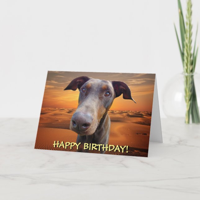 Carte d'anniversaire rouge belle de dobermann (Devant)
