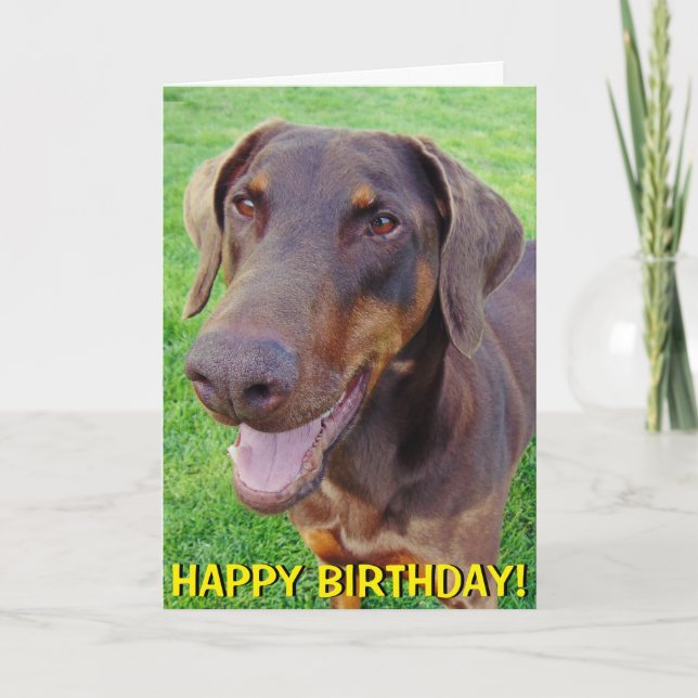 Carte d'anniversaire rouge de sourire de dobermann (Devant)