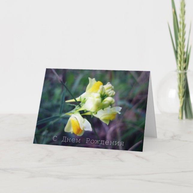 Carte d'anniversaire russe, Linaria (Devant)