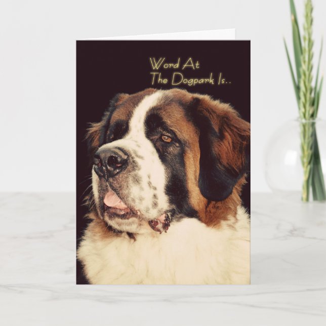 Carte d'anniversaire Saint Bernard (Devant)