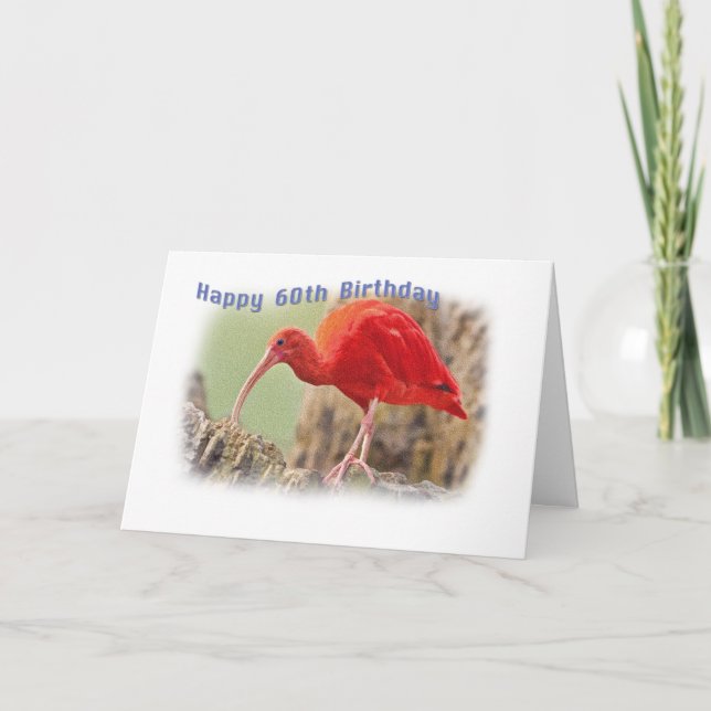 Carte d'anniversaire Scarlet Ibis Bird 60e (Devant)