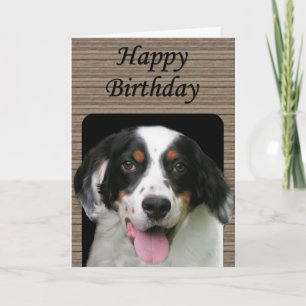 Carte d'anniversaire Setter anglais