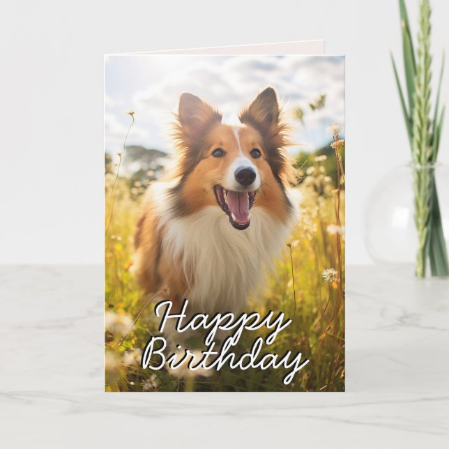 Carte d'anniversaire Shetland Sheepdog personnalis (Devant)