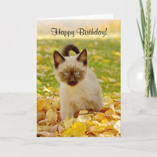 Carte d'anniversaire Siamoise-x de chaton (Devant)