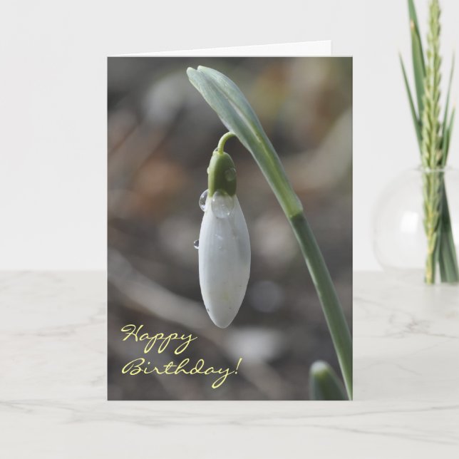 Carte d'anniversaire Snowdrop (Devant)