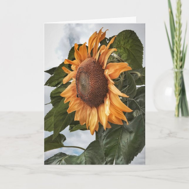 Carte d'anniversaire Sunflower Power (Devant)
