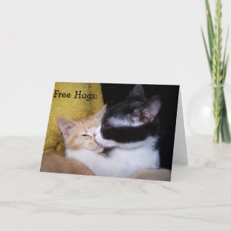 Carte d'anniversaire : Sweet Kittens donne des câl