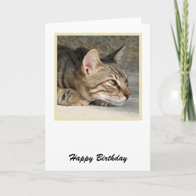 Carte d'anniversaire Tabby Cat (Devant)