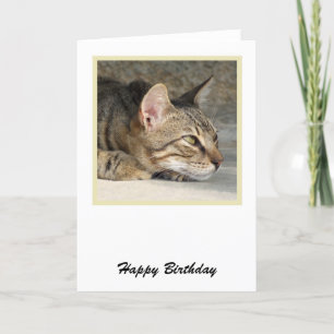 Carte d'anniversaire Tabby Cat