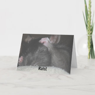 Carte d'anniversaire tardive