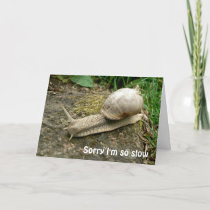 Carte d'anniversaire tardive