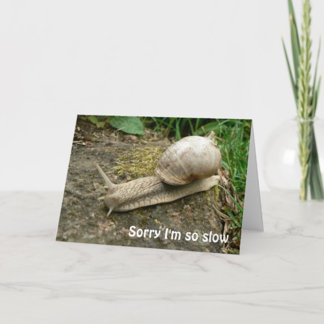 Carte d'anniversaire tardive (Devant)