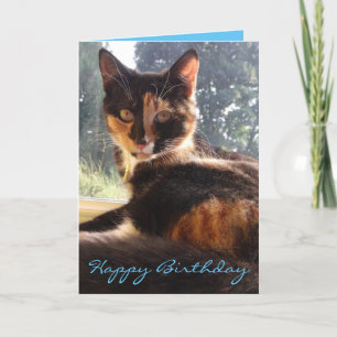 carte d'anniversaire tortie