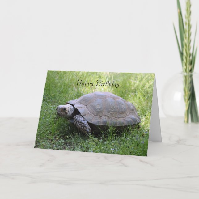 Carte d'anniversaire Tortoise (Devant)