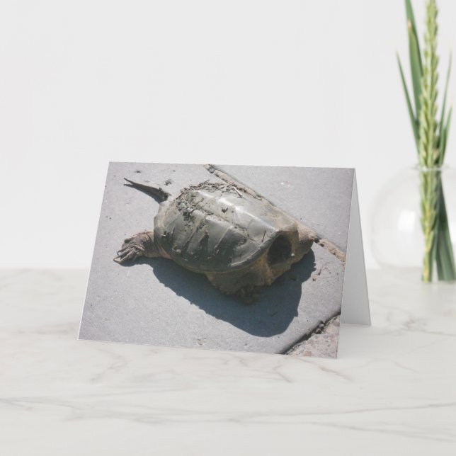Carte d'anniversaire "Tortue gigantesque" (Devant)