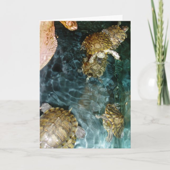 Carte d'anniversaire "Tortues de natation" (Devant)
