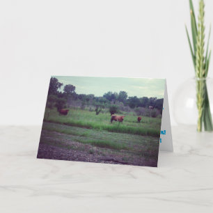 Carte d'anniversaire "Troupeau de vaches"