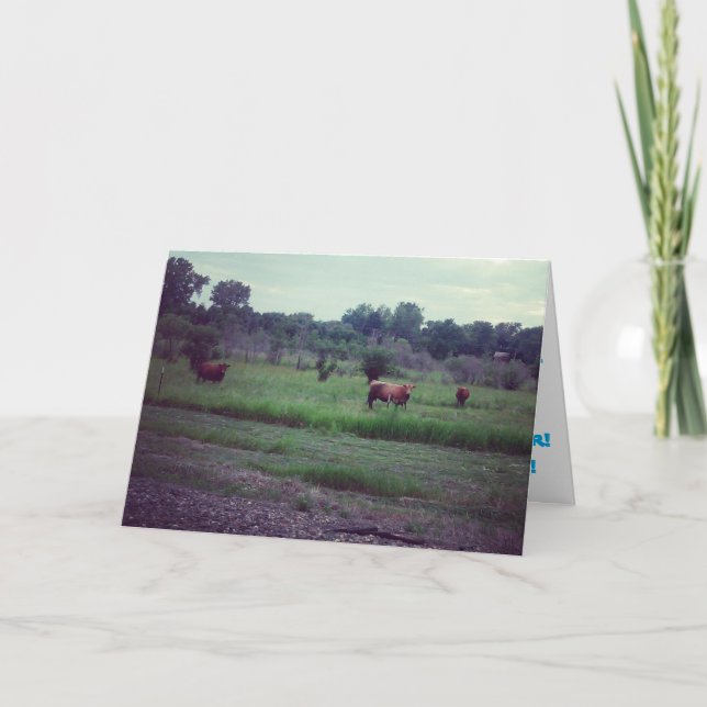 Carte d'anniversaire "Troupeau de vaches" (Devant)