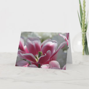 carte d'anniversaire tulipe rose