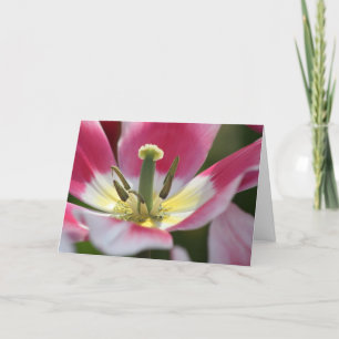 carte d'anniversaire tulipe rose