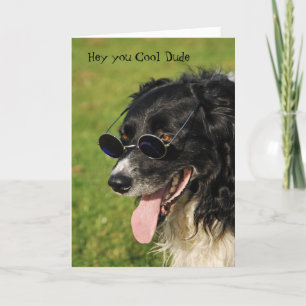 Carte d'anniversaire Yappy de border collie