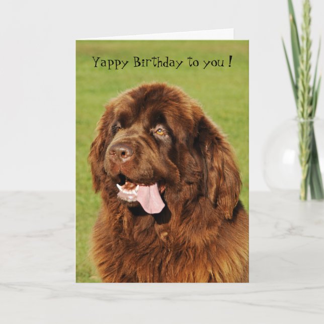 Carte d'anniversaire Yappy de Terre-Neuve (Devant)