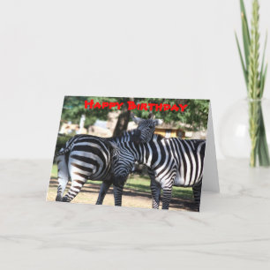 Carte d'anniversaire Zebra Friends