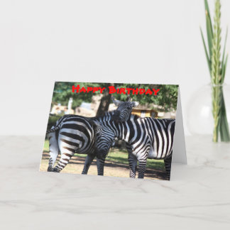 Carte d'anniversaire Zebra Friends