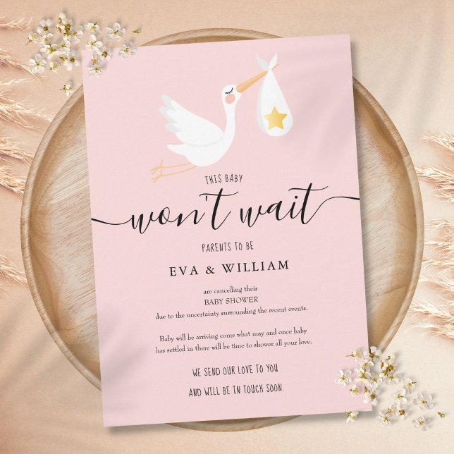 Carte d'annulation de Baby Shower Sprinkle Rose (Baby Shower Sprinkle Cancellation Pink Card)