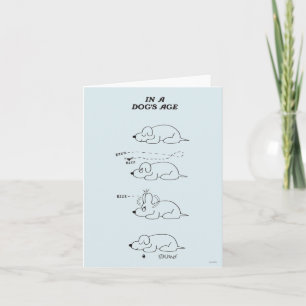 Carte Dans l'âge d'un chien