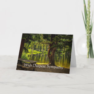 Carte Dans le parc naturel des arbres du lac Sympathy le