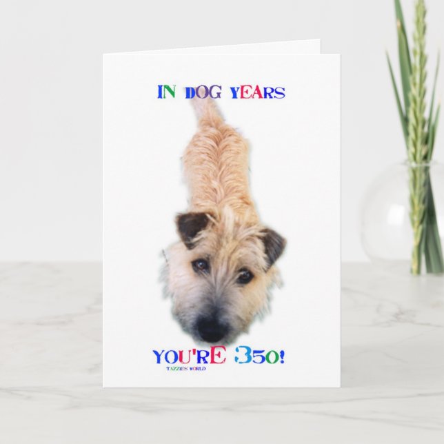 Carte Dans les années de chien vous avez 350 ans (Devant)