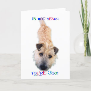 Carte Dans les années de chien vous avez 350 ans