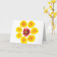 Danse Fleur Chrysanthemum Se Bien